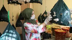 Alaa al-Masry memeriksa jamur tiram di kediamannya di Gaza City, Palestina, Minggu (8/3/2020). Alaa al-Masry memanen sekitar 150 kilogram jamur tiram organik setelah melakukan budi daya selama sebulan. (Xinhua/Rizek Abdeljawad)