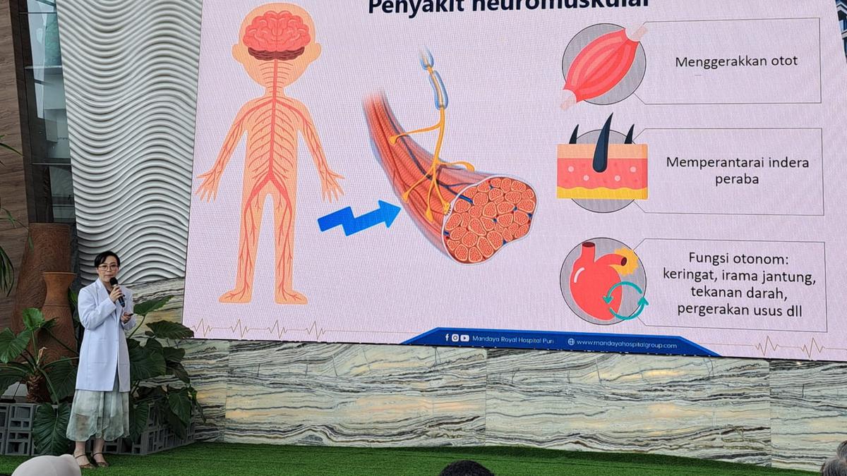 Neuromuscolar Disorder adalah Gangguan Saraf Otot dengan Banyak Tipe, Celine Dion dan Stephen Hawking Alami Tipe Berbeda Berita Viral Hari Ini Jumat 20 September 2024