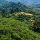 Hutan di Gunungkidul Jadi Sumber Pangan dan Penggerak Ekonomi Desa