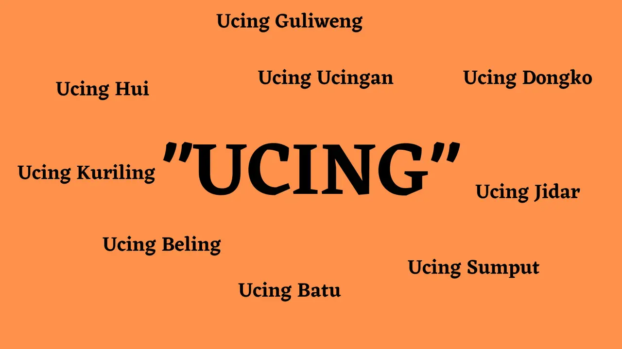 Ucing
