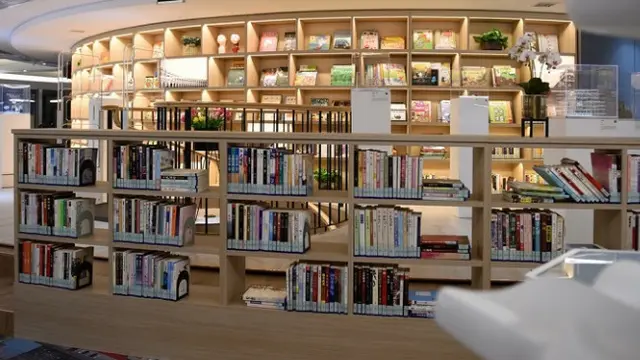 Perpustakaan di China Pekerjakan 7 Ekor Kucing untuk Hibur Pembaca yang Kesepian
