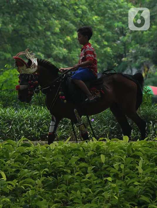 Jasa sewa kuda tunggang sangat diminati oleh warga untuk terutama anak-anak saat mengisi libur lebaran.  (merdeka.com/Imam Buhori)