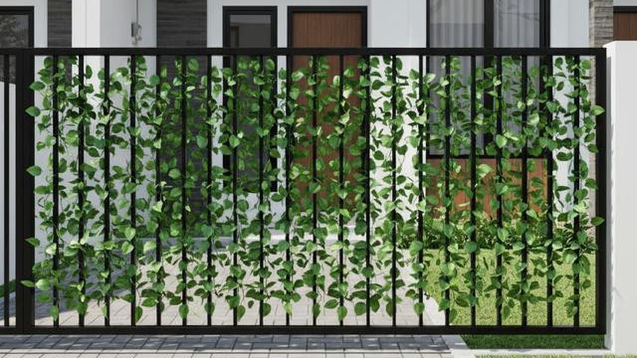 7 Model Pagar Besi Modern Kombinasi Tanaman Rambat, Tampil Alami dan Estetik untuk Hunian 2025