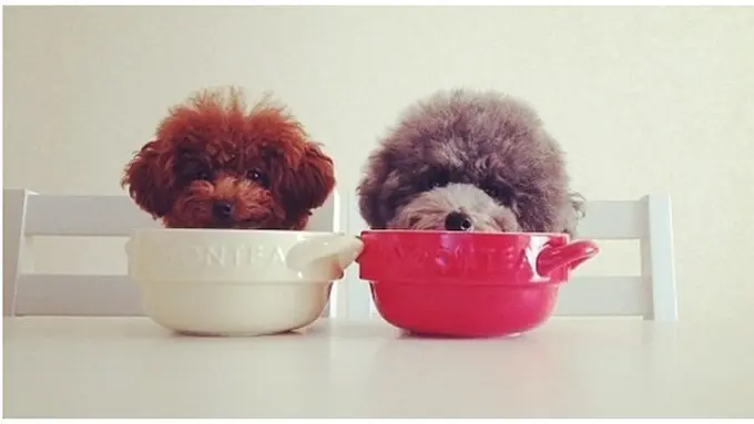 Foto: copyright tumblr.com/mochacafe