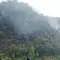 Kebakaran di Puncak Habibie Sukabumi Meluas, Ini Penyebabnya