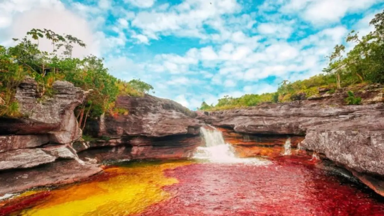 Cano Cristales