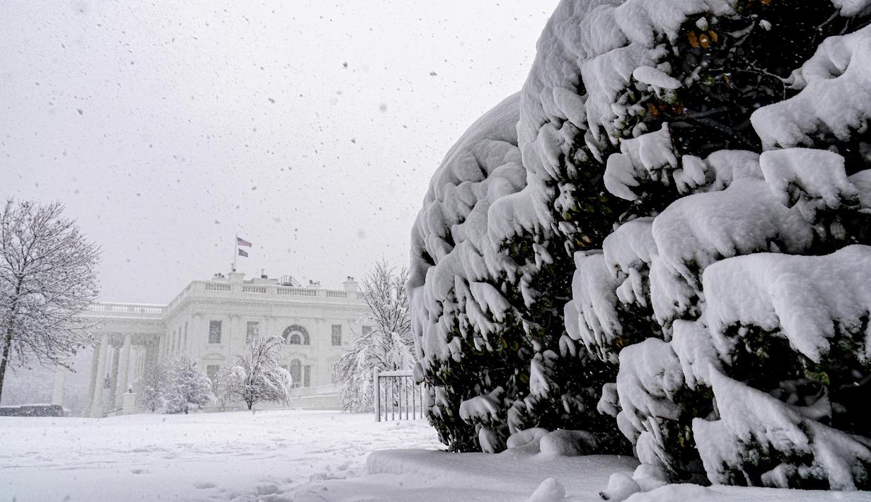 Salju turun di Gedung Putih, Washington, saat badai musim dingin bertiup ke wilayah Atlantik Tengah pada Senin (3/1/2022). Hujan salju lebat disertai angin kencang mengguyur wilayah tenggara dan tengah Amerika Serikat. (AP Photo/Andrew Harnik)