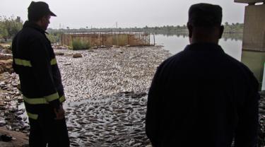 Ikan Mati di sungai Irak