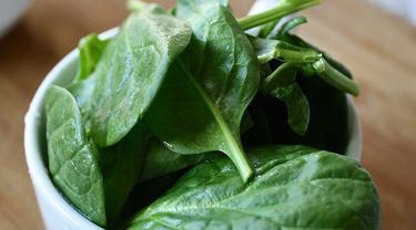 gambar sayur hitam putih - hobi sayur