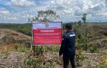 Kemenhut Usut 12 Korporasi hingga Perorangan, Ini Daftar Lima Lokasi Diduga Pemicu Banjir Sumatra