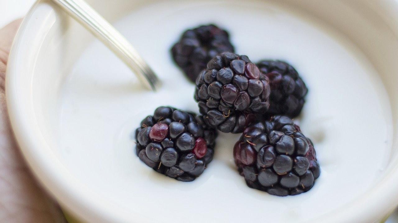 Yoghurt