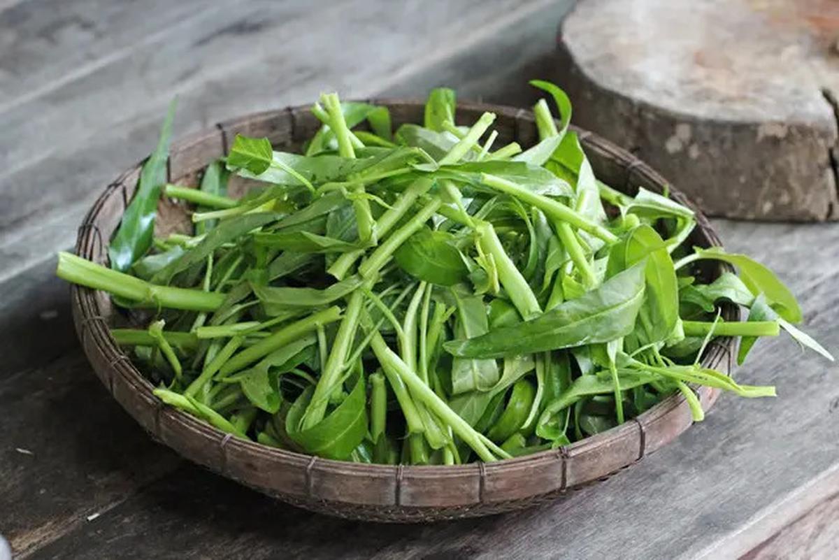 Rahasia Membersihkan Kangkung Bebas Kotoran dalam Waktu Singkat tanpa Ribet