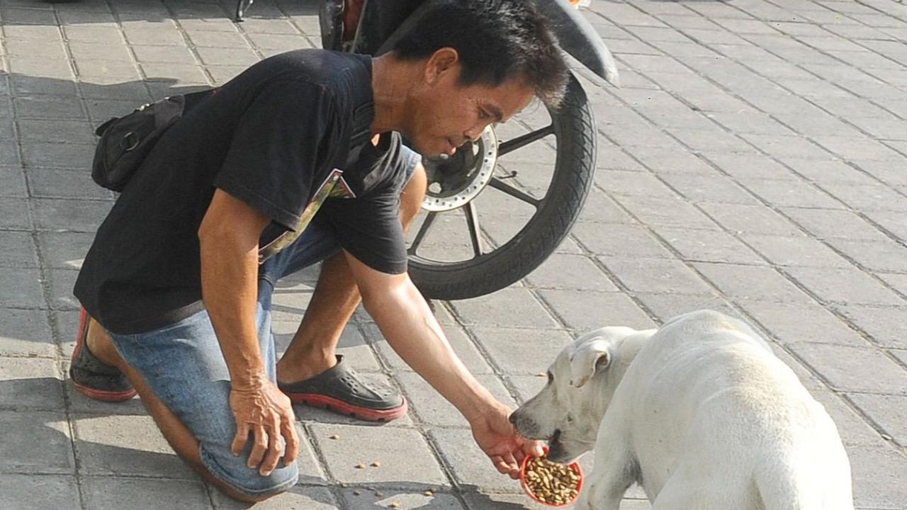 Lelut mengaku senang memelihara anjing sejak kecil. Bahkan ia menganggap anjingnya bagian dari keluarganya.