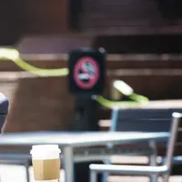 Saat menjalani Startup, pastikan kamu tidak melakukan kesalahan ini. 