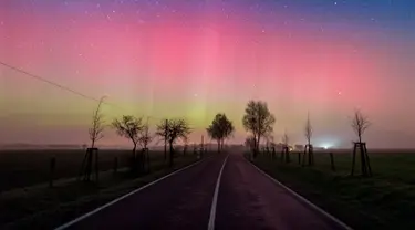 Gambar ini menunjukkan Aurora Borealis pada malam 6 Maret 2016 di Lietzen, dekat Brandenburg, Jerman bagian timur. Aurora Borealis merupakan fenomena berupa pancaran cahaya yang menyala pada lapisan ionosfer. (AFP/dpa/Patrick Pleul/Jerman)