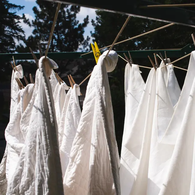 Jemuran Baju yang Belum Kering