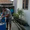 6 Ikan Air Tawar yang Paling Sering Dicari Pedagang dan Rumah Makan, Mudah Diternak di Rumah