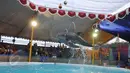 Atraksi lumba-lumba saat pertunjukan sirkus keliling di Kota Depok, Jawa Barat, Minggu (31/5/2015). Pertunjukan tersebut digelar hingga 14 Juni mendatang, dengan tarif antara Rp35ribu-Rp50ribu. (Liputan6.com/Herman Zakharia)
