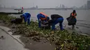 Sejumlah pekerja membersihkan sampah tepian Sungai Yangtze di Wuhan (20/11/2020). Beberapa warga sudah tidak menggunakan masker saat melakukan aktivitas di luar ruangan. (AFP/Hector Retamal)