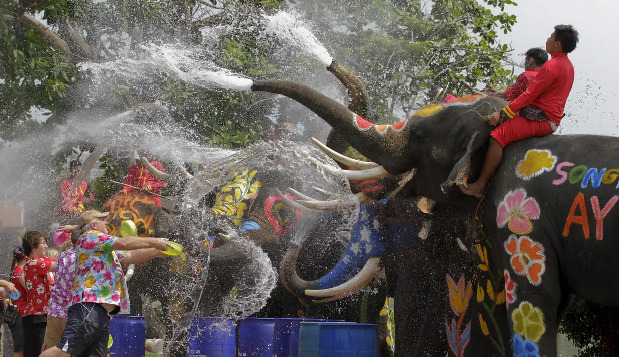 Gajah semprot wisatawan dengan air dalam perayaan festival air Songkran di Ayutthaya, Bangkok, Thailand (10/4/2015). Festival air songkoran menandai dimulainya Tahun Baru tradisional Thailand. (REUTERS/Chaiwat Subprasom)