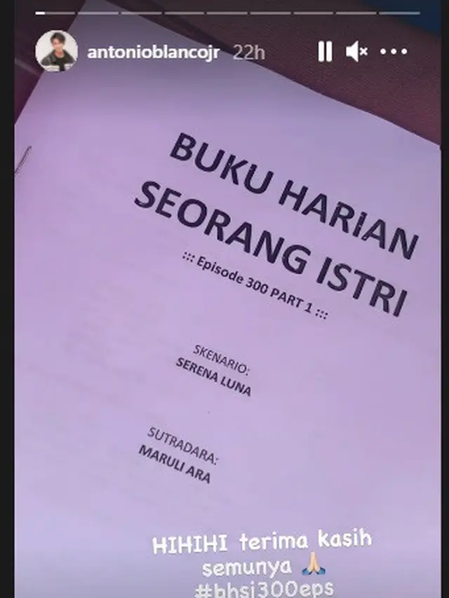 Buku Harian Seorang Istri