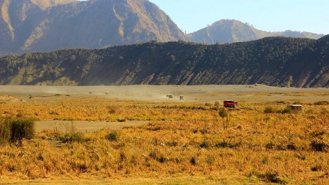 Memanjakan mata menikmati keindahan bukit 'Teletubbies' di Bromo