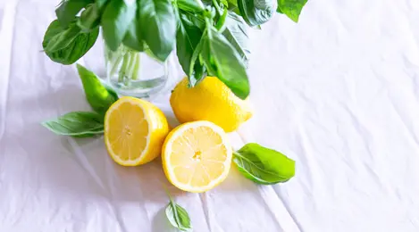 5 Manfaat Jeruk Lemon Untuk Tubuh Dan Kecantikan - Lifestyle Fimela.com