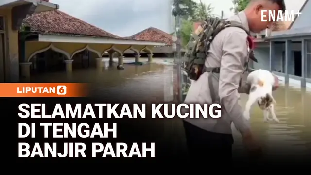 Banjir Naik Hingga 3 Meter, Akses Desa di Karawang Putus