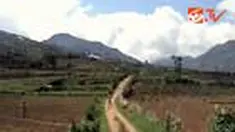 liputan6