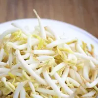 Selain untuk kesuburan, ini manfaat taoge bagi cewek yang jarang diketahui. (Sumber Foto: LiveStrong)