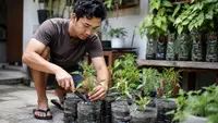 15 Tips Menanam Cabai di Botol Bekas agar Tumbuh Subur, Panduan agar Berbuah Lebat