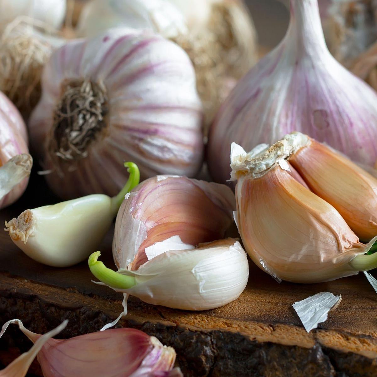 Bawang Putih Sering Busuk, Coba Trik ini Saat Menyimpannya