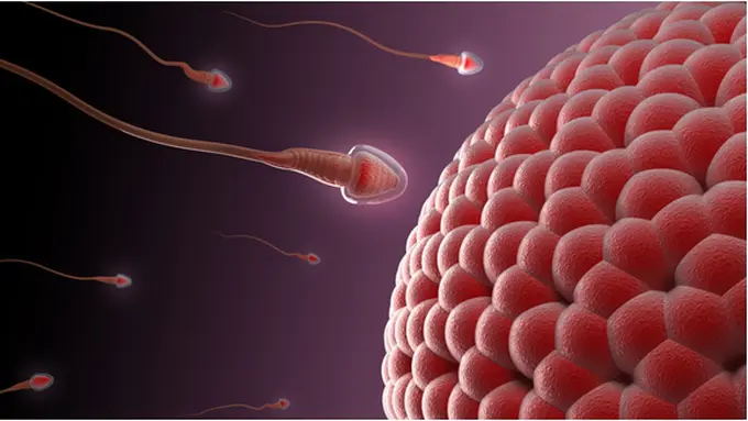 Courtesy ShutterStock.com