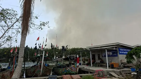 Asap Kebakaran TNWK makin Tebal, Ranting Gosong Serbu Permukiman