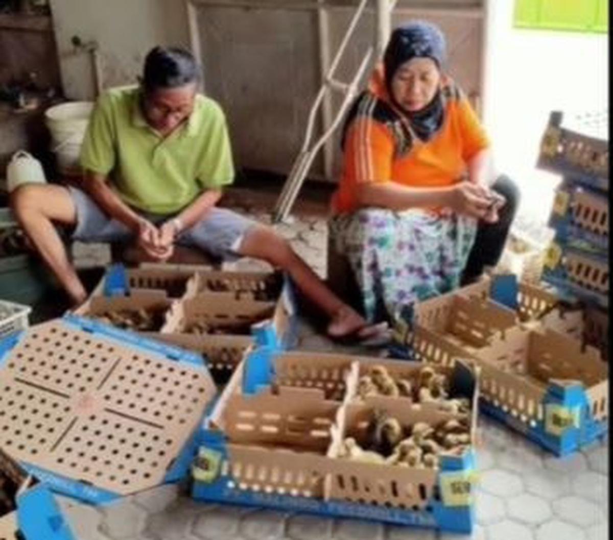 Meski orang tuanya harus banting tulang dengan menjual ayam, namun sang putra satu-satunya dari empat bersaudara itu harus bisa melampaui pencapaian orang tuanya. Berkat doa orang tua dan keluarga, ia berhasil menggapai mimpi menjadi Perwira Polri.