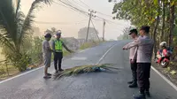 Jasad Wanita Tergeletak di Jalan Lintas Timur Sumatera