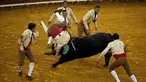 Tim Alcochete Forcados beraksi selama adu banteng di arena adu banteng Campo Pequeno di Lisbon, Portugal (1/10/2015). Forcados masih menggunakan cara tradisional Portugal menangkap banteng tanpa bantuan alat. (REUTERS/Rafael Marchante)