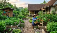 7 Ide Kebun Kecil untuk Mendukung Gaya Hidup Tenang dan Hemat, Tak Perlu Lahan Luas