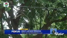 Perbarui informasi Anda bersama Fokus edisi (12/10) dengan beberapa topik pilihan di antaranya, Kawasan Wisata Puncak Ramai, Nikah Siri Dapat Kartu Keluarga, Donasi Barang Bekas Berkualitas.
