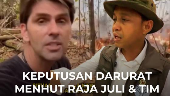 Keputusan Darurat Menhut Raja Juli & Tim Kalaweit Jaga Habitat 200 Orangutan dari Karhutla