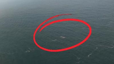 Tim SAR Gabungan Pastikan Informasi Video Drone Mirip Kapal Terbalik, Ini Hasilnya
