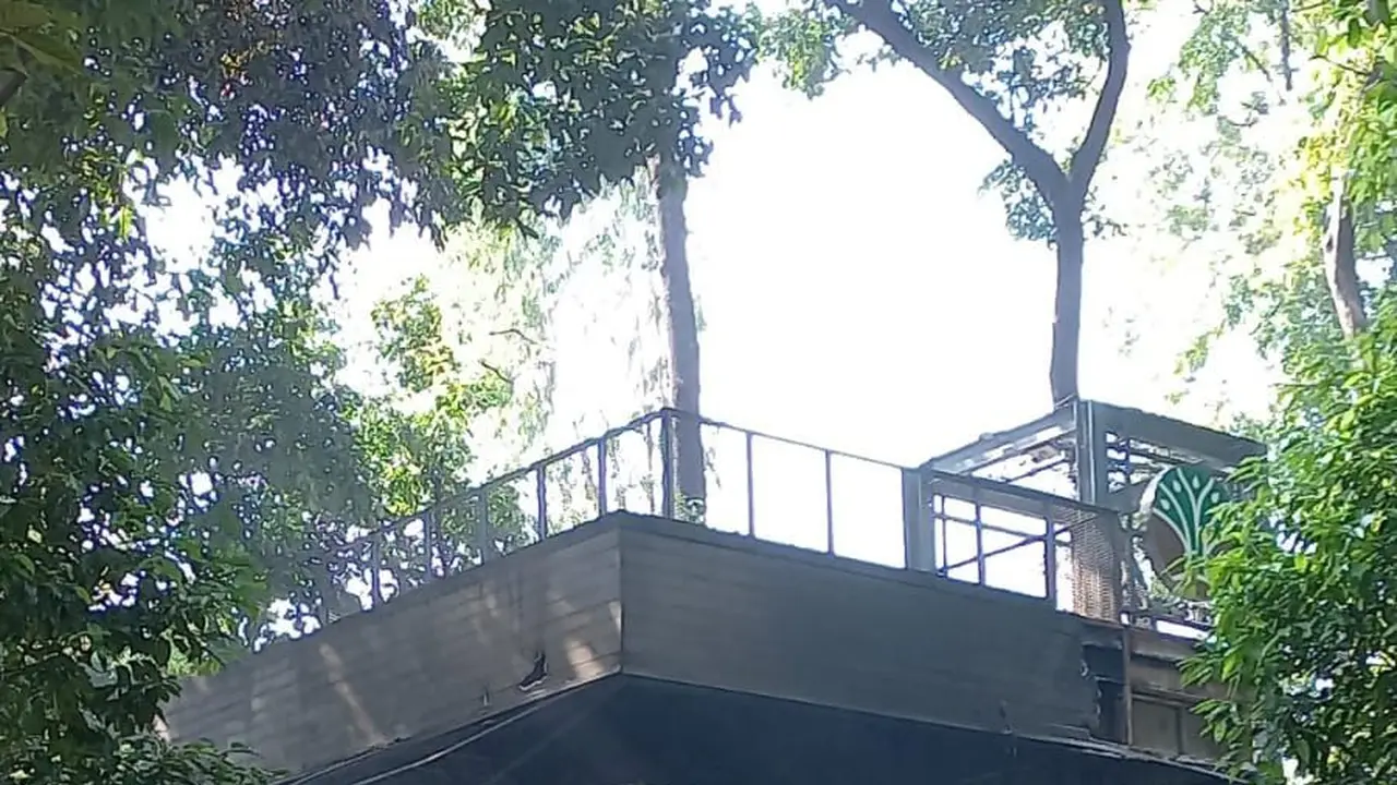 Secercah Asa dari Kafe Mungil di Tengah Arboretum Kemenhut yang Hangus Dibakar dan Dijarah Massa