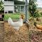Jenis Ayam Petelur (created by AI)