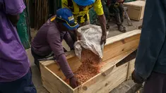Mr. Jean melempar serbuk gergaji ke dalam peti mati saat bersama timnya membuat peti mati murah di jalan di Antananarivo, Rabu (14/4/2021). Sejak gelombang kedua Covid-19 di Madagaskar, yang menyebabkan jumlah kematian meningkat di ibu kota, permintaan peti mati juga meningkat pesat. (RIJASOLO/AFP)