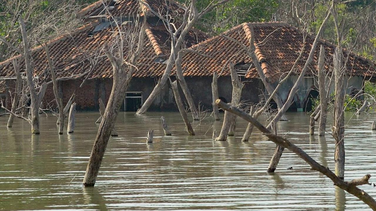 Kondisi rumah-rumah tenggelam karena abrasi di Dusun Rejosari Senik, Demak, Jawa tengah, Minggu (5/5/2024). Perubahan iklim telah membuat Dusun Rejosari Senik, yang dahulu dihuni 225 kepala keluarga (KK), kini ditinggalkan penduduknya dan hanya tersisa sa