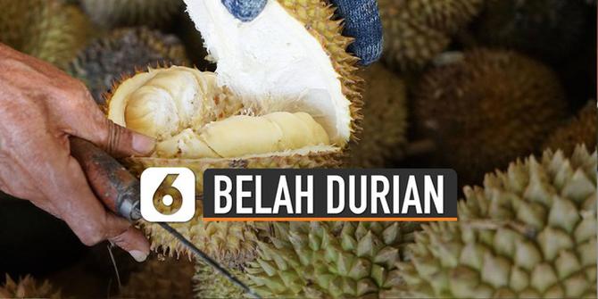 VIDEO: Tips Buka Durian Sendiri di Rumah