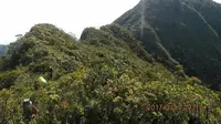 6 Fakta Menarik Gunung Kurik, Titik Tertinggi di Aceh Timur dengan Pendakian Menantang