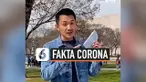 fakta corona