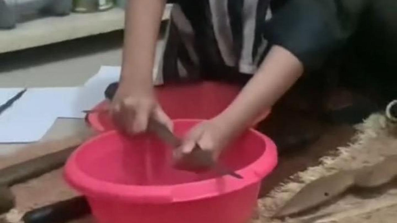 Viral Ibu Hamil Ngidam Masuk Rumah Sakit Terbengkalai hingga Mandikan Keris, Bikin Warganet Khawatir