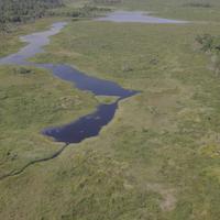 Hari Lahan Basah Sedunia 2026: Merayakan Pengetahuan Tradisional dan Menyelamatkan Ekosistem